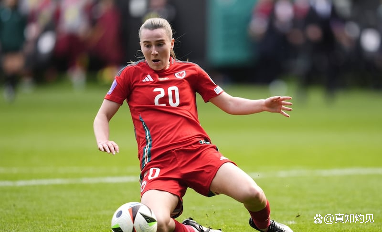 B体育登录入口-篮球欧锦赛：瑞典女队东道主失利无缘晋级的简单介绍