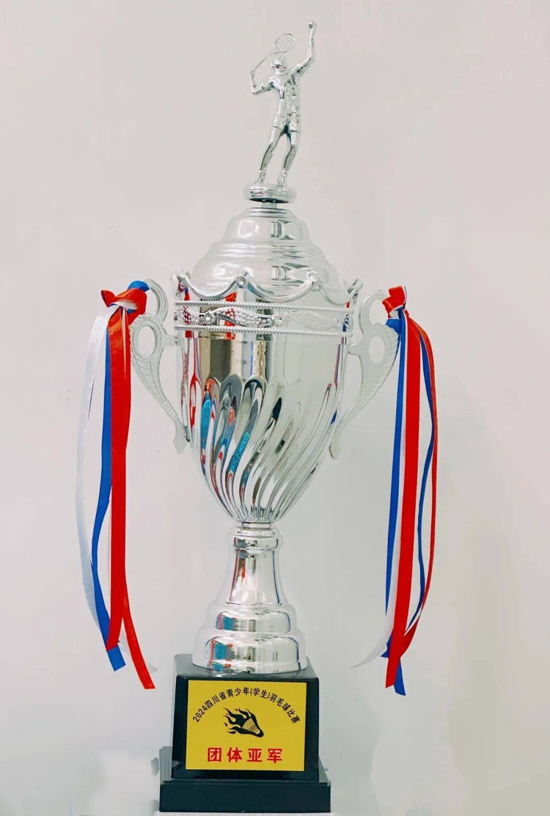 战绩辉煌，运动员勇夺锦标赛桂冠